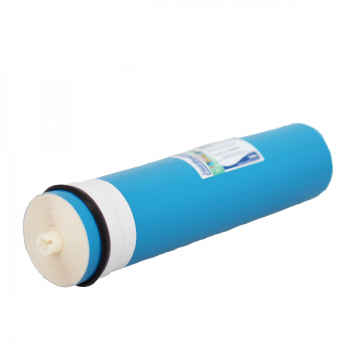 Membrane Nertus Direct