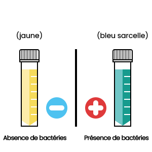 Schéma résultats test